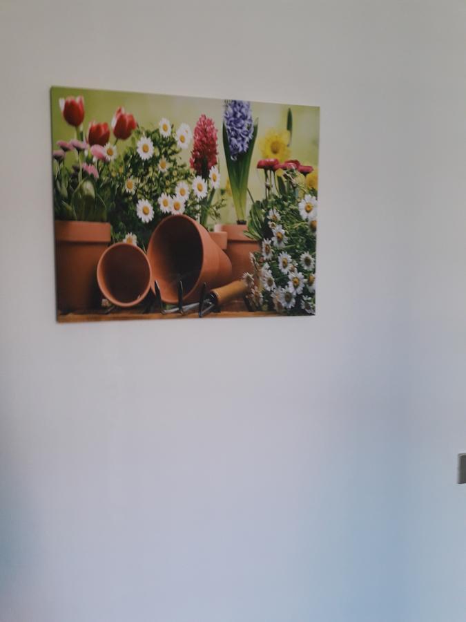 La Casa Nel Verde 2 Bologna Bagian luar foto